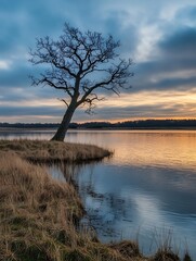 Lonely Tree Silhouette by a Calm Lake during Twilight with Dramatic Sunset Colors : Generative AI