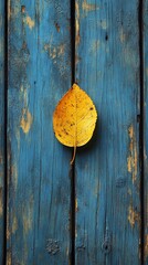 Autumn leaf on weathered blue wood fence