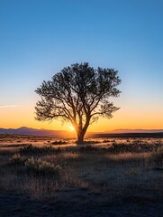 Majestic tree silhouetted against a beautiful sunset sky : Generative AI