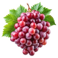 Fototapeta premium bunch of red grapes isolated on white