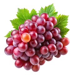 Fototapeta premium bunch of red grapes isolated on white
