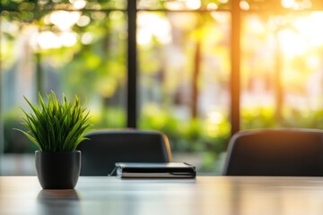 A serene indoor setting featuring a small potted plant on a table, with soft sunlight illuminating the background greenery