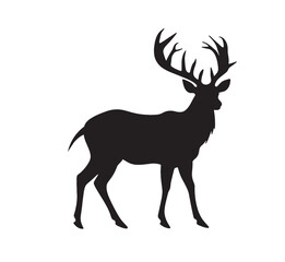 Majestic Deer Silhouette on White Background