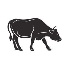 Obraz premium Silhouette of a Black Cow Standing Sideways