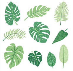 Fototapeta premium set of green leaves vector