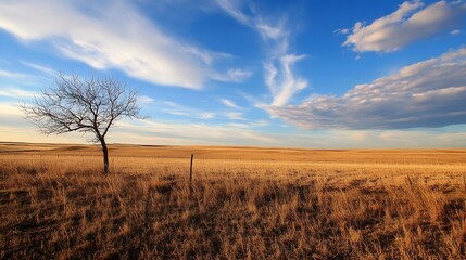 Obraz premium Breathtaking Open Field Under a Beautiful Sky with a Lone Tree for Nature and Landscape Projects : Generative AI