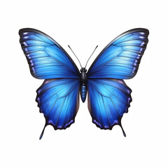 Obraz premium Realistic illustration of a vibrant blue butterfly with symmetrical wings, intricate details, and a graceful appearance, isolated on transparent background.