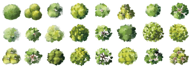 Vector watercolor green tree or forest top view isolated on white background for landscape plan and architecture drawing,plant for environment or garden,botanical element for exterior layout © pimchanok