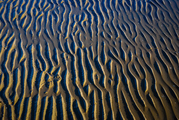Texture della sabbia con la bassa marea lungo la spiaggia di Pesaro