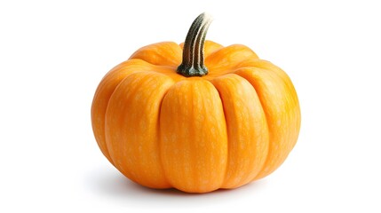 Obraz premium A small fresh pumpkin, clean white background, transparent isolate