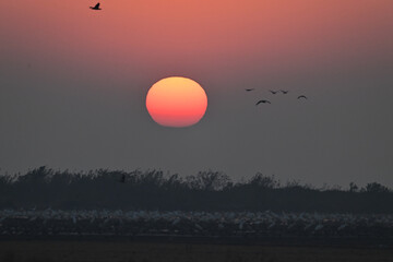 sunset in the mountains