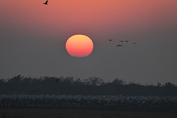 sunset over the lake