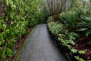 path in the park between green plants