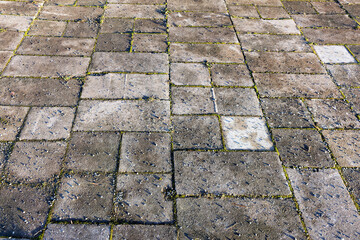 Cement paving tiles create a durable surface for outdoor spaces