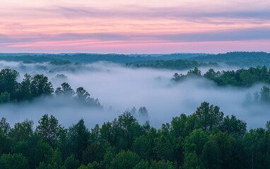 Fog envelops a tranquil forest landscape at dawn, revealing layers of trees and soft pastel skies
