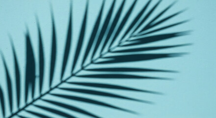 Serene Teal Palm Leaf Shadow on a Wall: A Minimalist Tropical Image