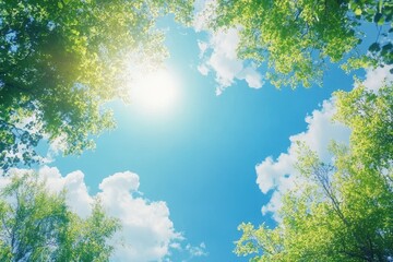 Fototapeta premium Tall trees rise under a clear blue sky on a sunny day in a vibrant forest, Nature, tall tree forest and blue sky, sunny day, low angle view, vertical short video