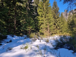 Adrspach-Teplice Rocks in winter