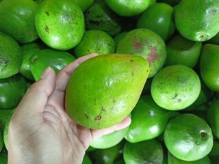 Avocados are green in color, shaped like pumpkins and have large seeds.