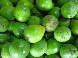 Avocados are green in color, shaped like pumpkins and have large seeds.