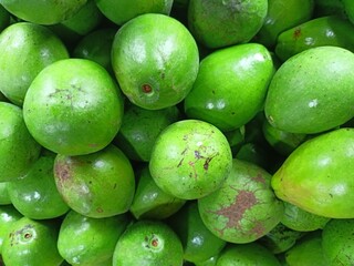 Avocados are green in color, shaped like pumpkins and have large seeds.