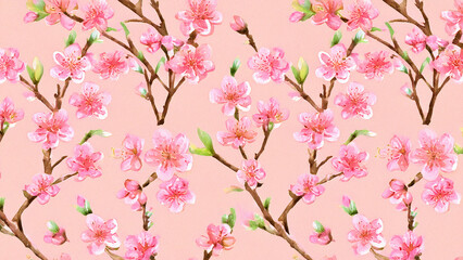 Fototapeta premium 美しい桜の花の背景素材