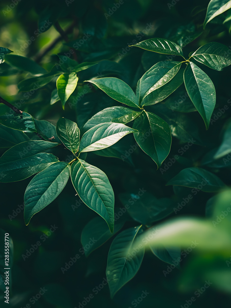 Poster lush green foliage close-up creating a tranquil nature inspired background : generative ai