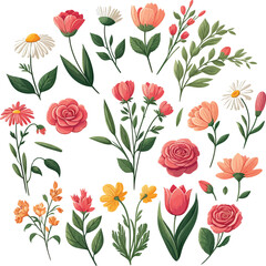 Elegant Floral Design Elements Roses, Tulips, Daisies, Botanical Illustrations
