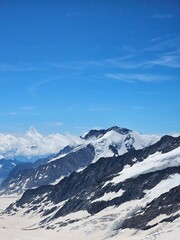 A stunning summer view of Jungfrau, one of Switzerland's most iconic peaks. The photo showcases the lush green meadows and vibrant alpine flowers at the base of the towering snow-capped mountain. The 