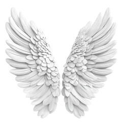 Obraz premium White Angel Wings Feather Detail Spiritual Freedom Flight,