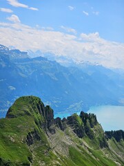A vibrant summer photo of wildflowers blooming at the base of Brienzer Rothorn, capturing the colorful beauty of alpine flora against the backdrop of the majestic Swiss Alps. The image highlights the 