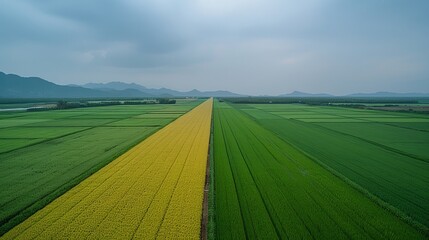 Obraz premium Contrasting landscapes the impact of climate and land management on environment s health