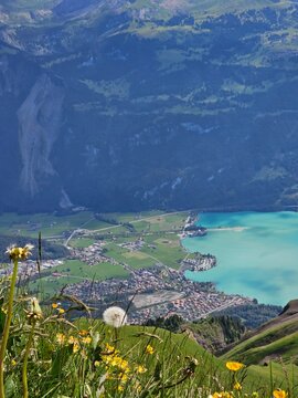 A breathtaking summer photo taken from the summit of Brienzer Rothorn, showcasing the serene beauty of Lake Brienz nestled in the Swiss Alps. The turquoise waters of the lake contrast beautifully with