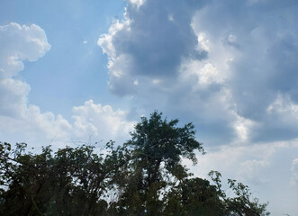 Silhouette of trees against clouds in the sky background, nature photography 