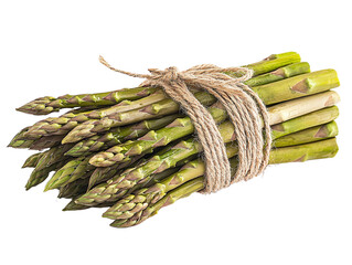 Fresh Green Asparagus Bundle Tied with Natural Twine on White Background