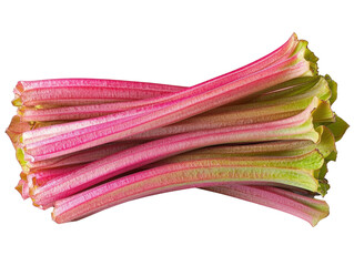 Fresh Rhubarb Stalks Bundle on White Background for Culinary and Botanical Purposes