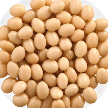 Tremocos - A popular Portuguese snack made from lupini beans, typically served with a pinch of salt. These beans are