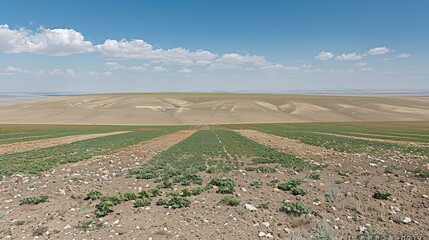 Contrasting landscapes  the impact of climate and land management on drought and fertility