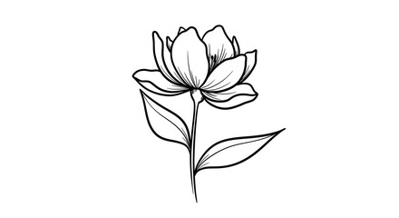 Obraz premium Elegant Black Line Art Single Tulip Flower Botanical Illustration