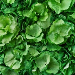 Vibrant green early cabbage showcases freshness in a bustling market, appealing to health-conscious shoppers seeking quality produce. Generative AI