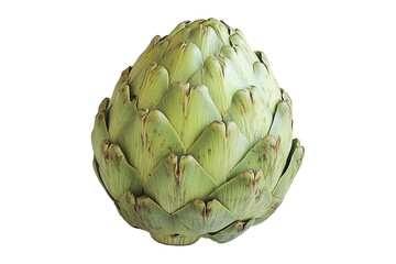 Obraz premium Single fresh green artichoke with detailed texture isolated on white transparent background. Concept of healthy eating, organic food, and vegetarian diet