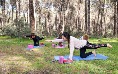 Senior women practicing yoga in a tranquil pine forest, performing the bird-dog pose for core stability, strength, and balance, engaging in a mindful and rejuvenating outdoor fitness session.