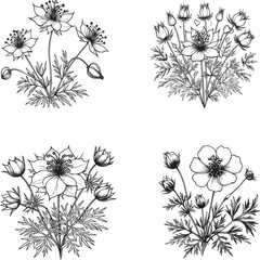 Intricate Hand-Drawn Flower Illustrations – Black-and-White Botanical Art