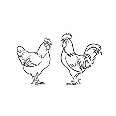 rooster and hen outline, drawing for coloring
