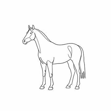 horse outline, drawing for coloring
