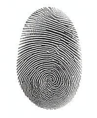 A fingerprint image, showing the intricate patterns and ridges that make up a human fingerprint