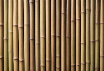 Fototapeta premium Bamboo stalks, natural brown color, arranged in a vertical pattern