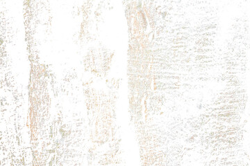 Grunge Tree Bark Texture with Green Moss Isolated on Transparent Background