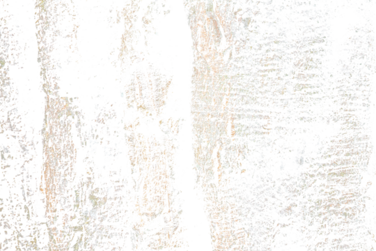 Grunge Tree Bark Texture with Green Moss Isolated on Transparent Background