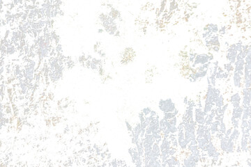 Grunge Tree Bark Texture with Green Moss Isolated on Transparent Background